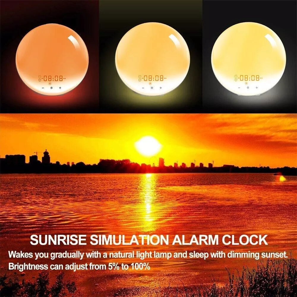 Rise Easy Alarm